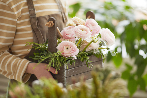 flowers